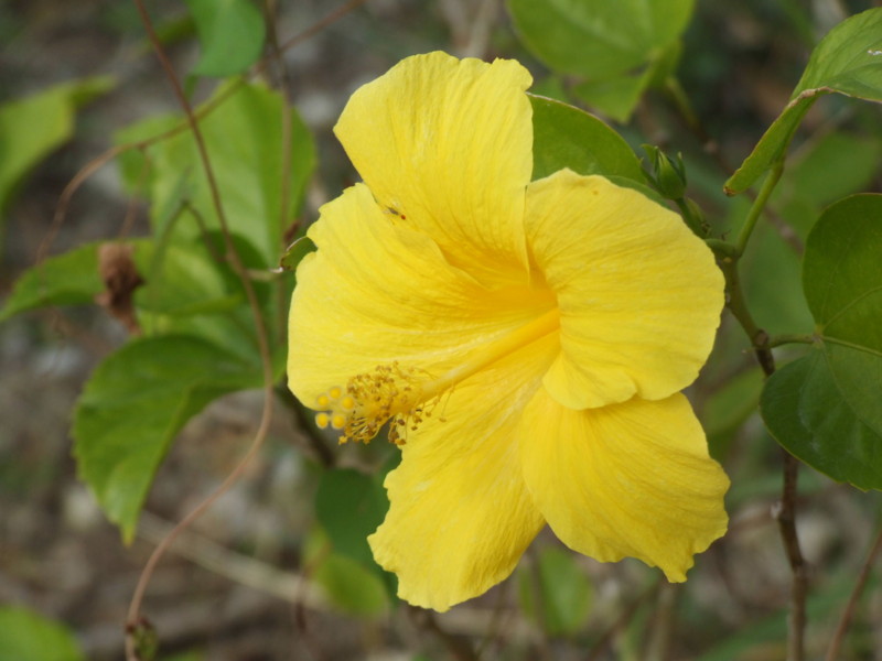 f:id:SQB:20091226200344j:image