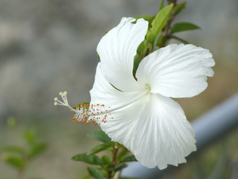 f:id:SQB:20091226200412j:image
