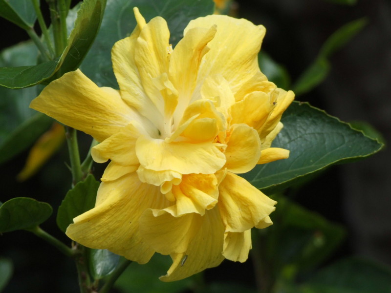 f:id:SQB:20091226201301j:image