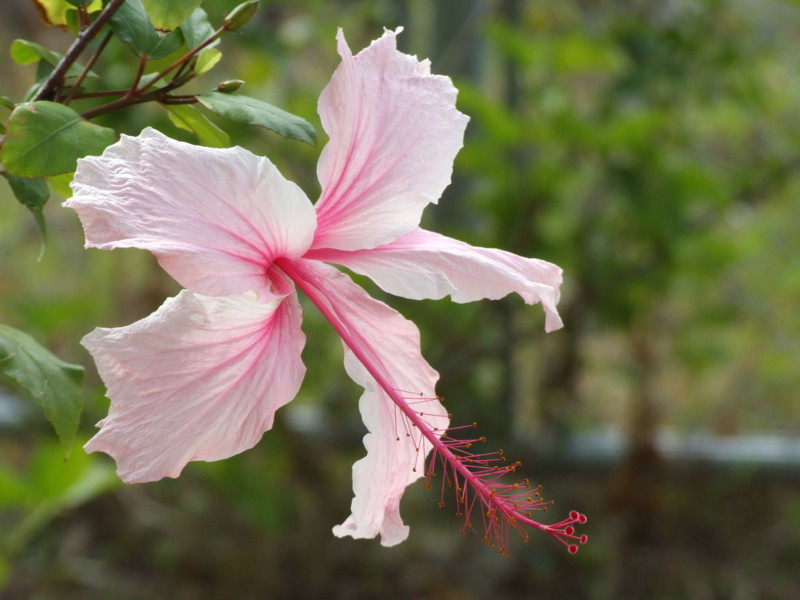 f:id:SQB:20091226201316j:image