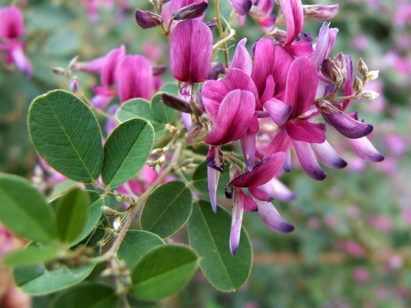 f:id:SQB:20091230204453j:image