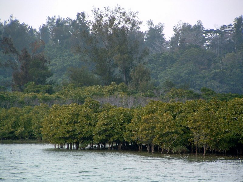 f:id:SQB:20091230205748j:image