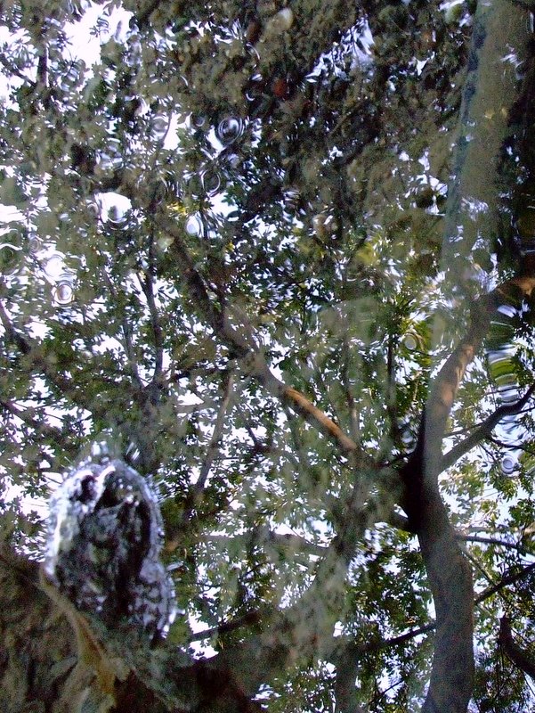 f:id:SQB:20100107212136j:image