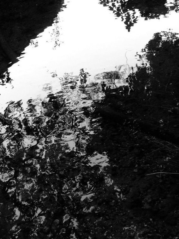 f:id:SQB:20100110232858j:image