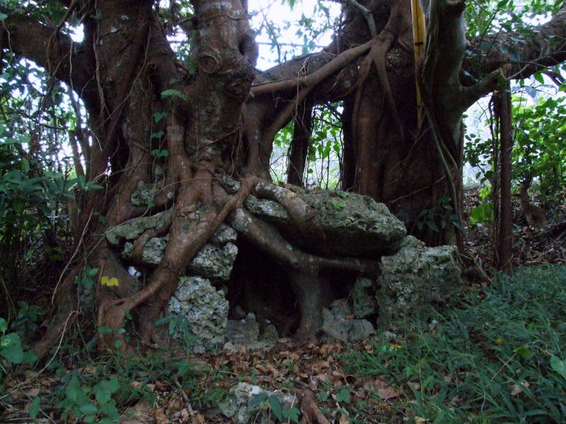 f:id:SQB:20100110233547j:image