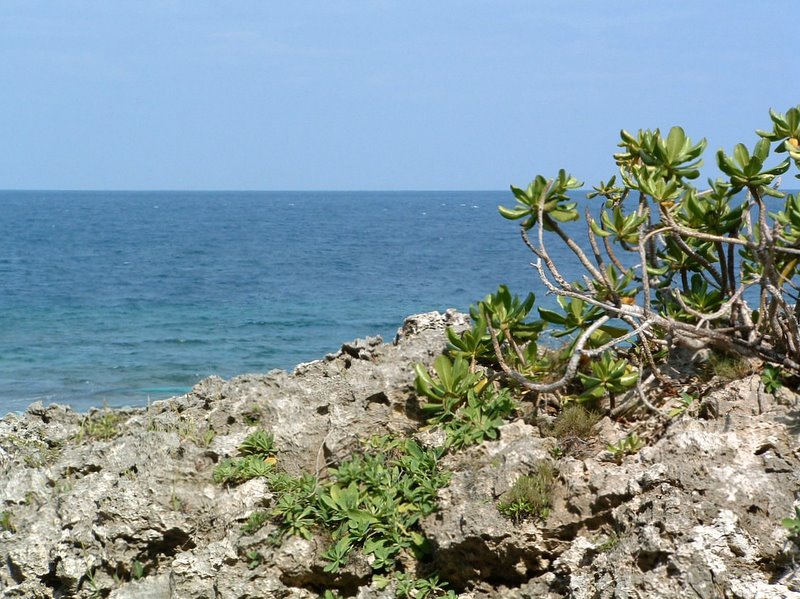 f:id:SQB:20100118225829j:image