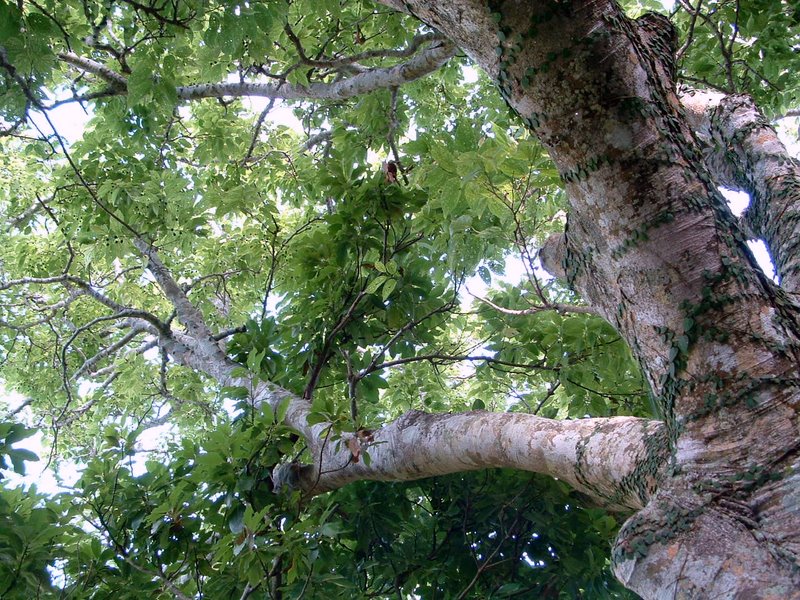 f:id:SQB:20100207144125j:image