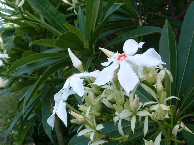 f:id:SQB:20100220220542j:image