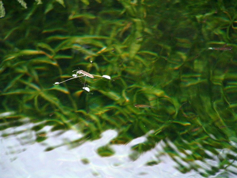 f:id:SQB:20100225204622j:image