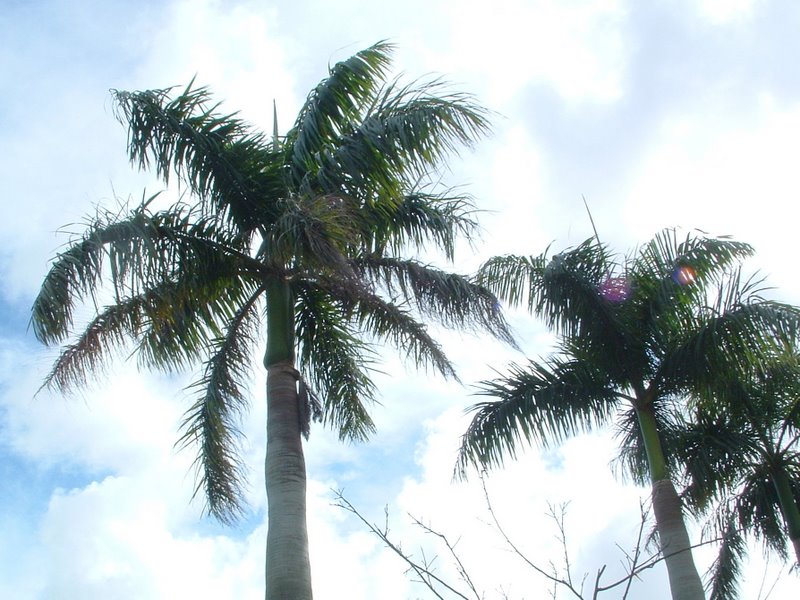 f:id:SQB:20100324212358j:image