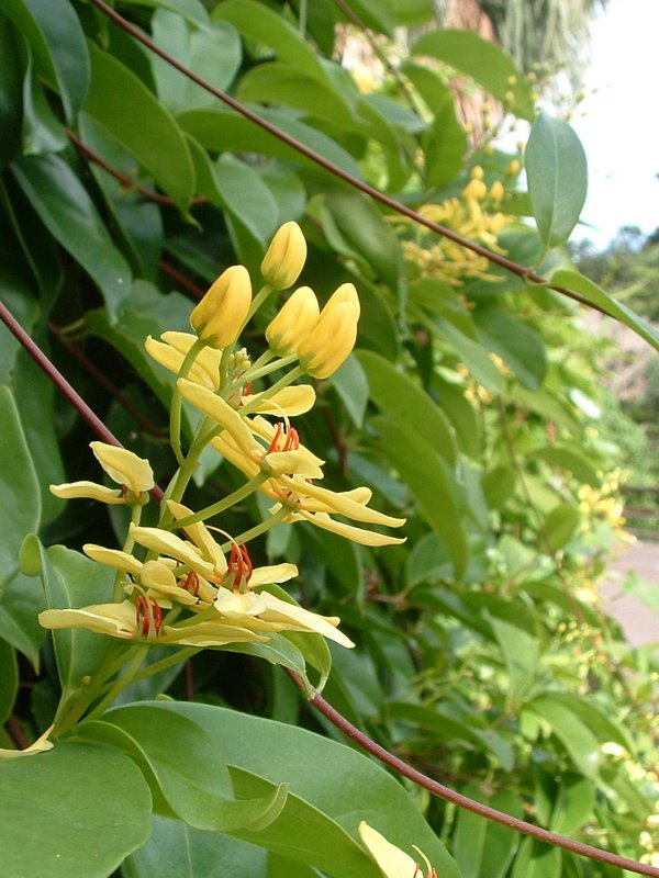 f:id:SQB:20100325211353j:image
