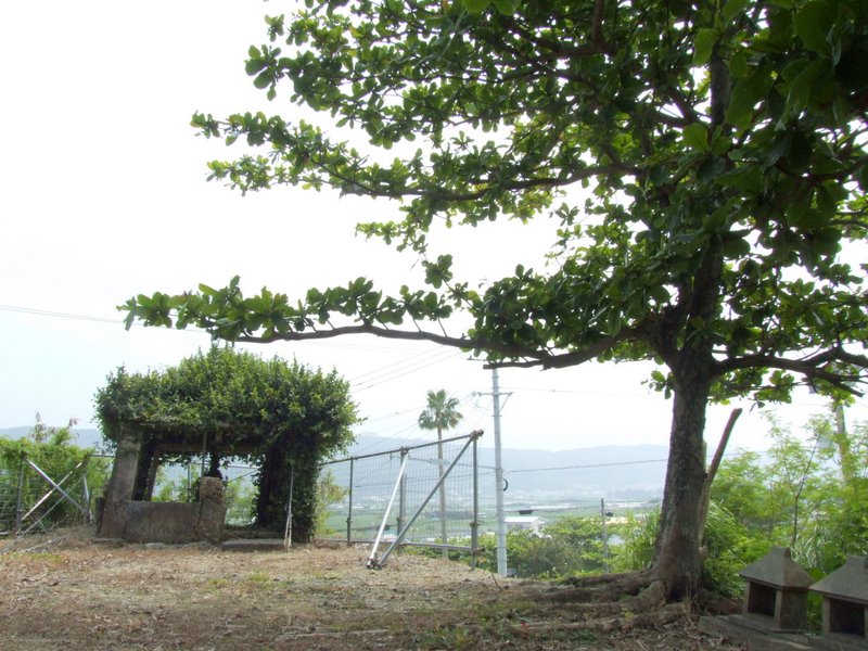 f:id:SQB:20100326235749j:plain