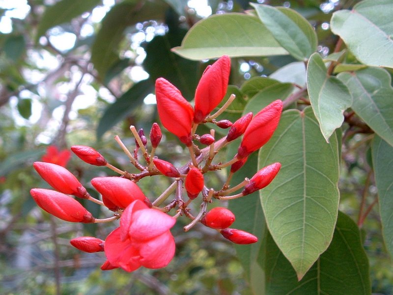 f:id:SQB:20100328210725j:image