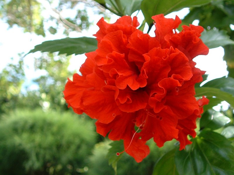 f:id:SQB:20100330212918j:image