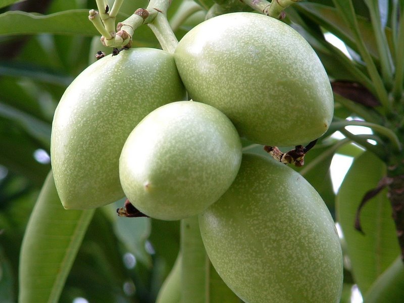 f:id:SQB:20100418230917j:image