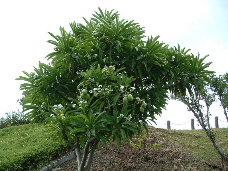 f:id:SQB:20100418230920j:image