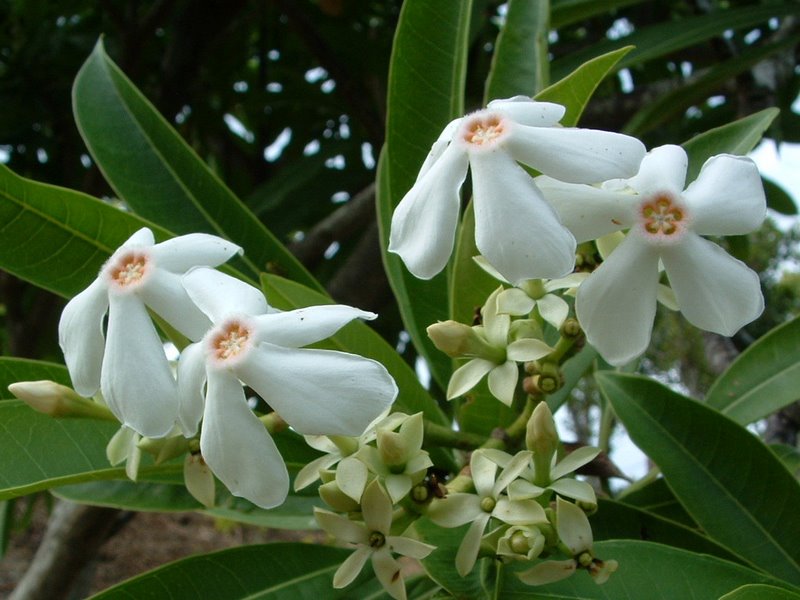 f:id:SQB:20100418230923j:image