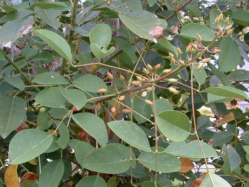 f:id:SQB:20100420235727j:image