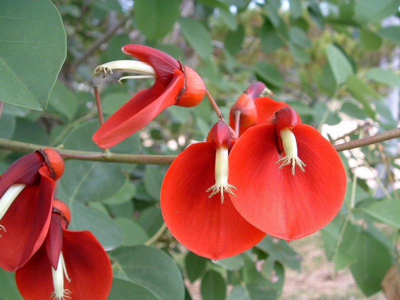 f:id:SQB:20100420235730j:image