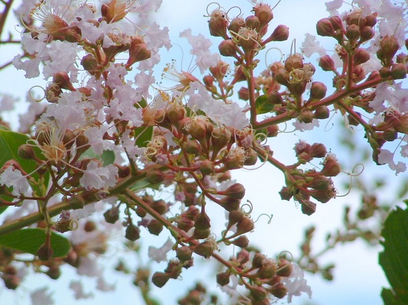 f:id:SQB:20100422220921j:image