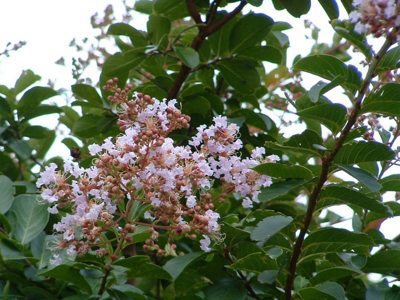 f:id:SQB:20100422220924j:image
