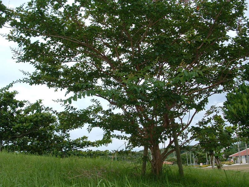 f:id:SQB:20100422220927j:image