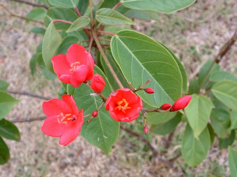 f:id:SQB:20100429212813j:image