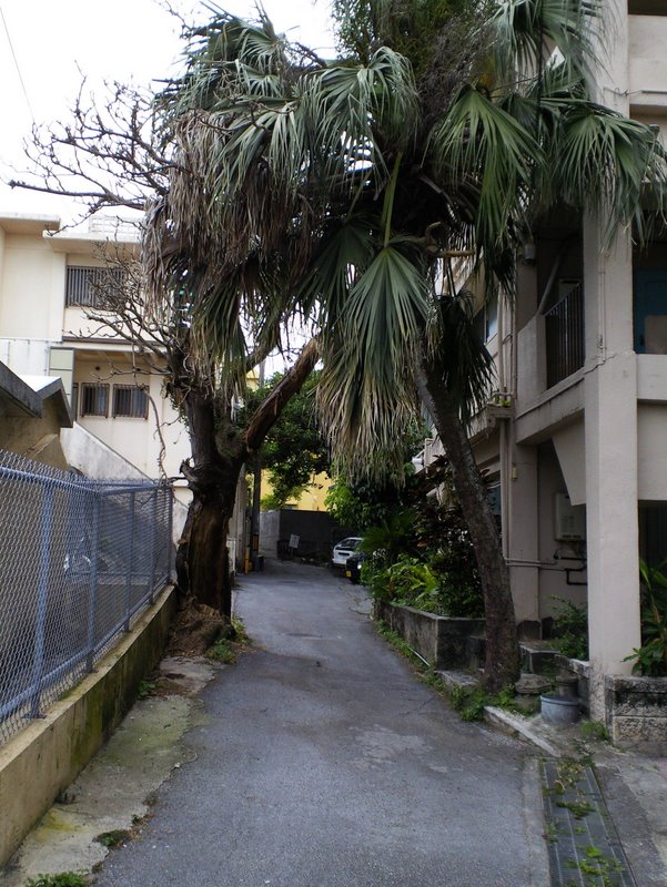 f:id:SQB:20100603203402j:image