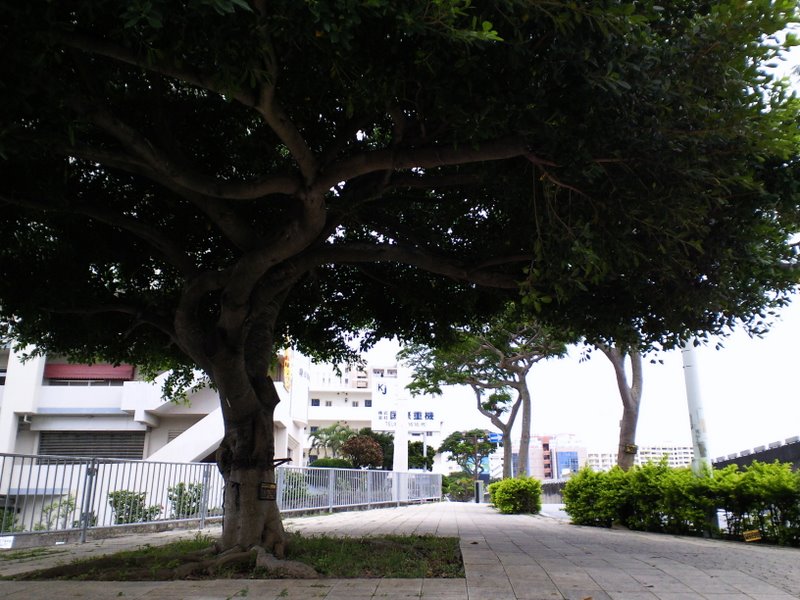 f:id:SQB:20100603203413j:image