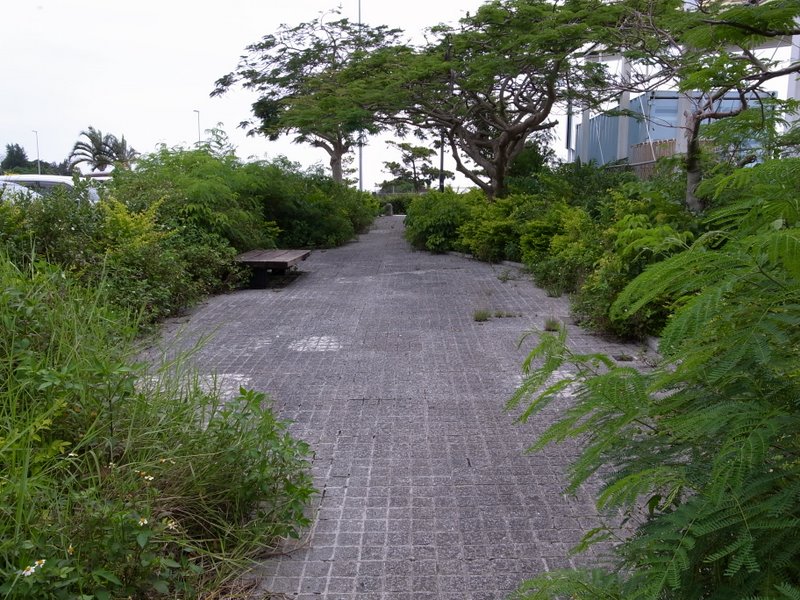 f:id:SQB:20100612163103j:image