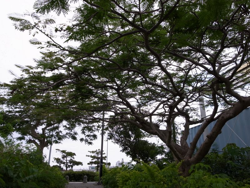 f:id:SQB:20100612163104j:image
