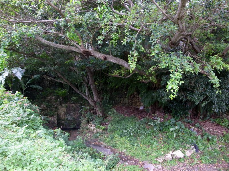 f:id:SQB:20100617195257j:image