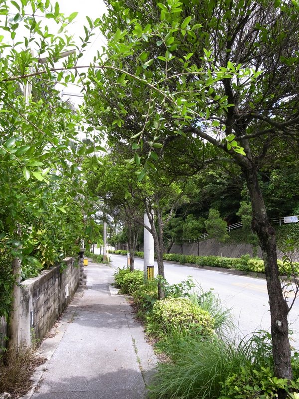 f:id:SQB:20100617195301j:image