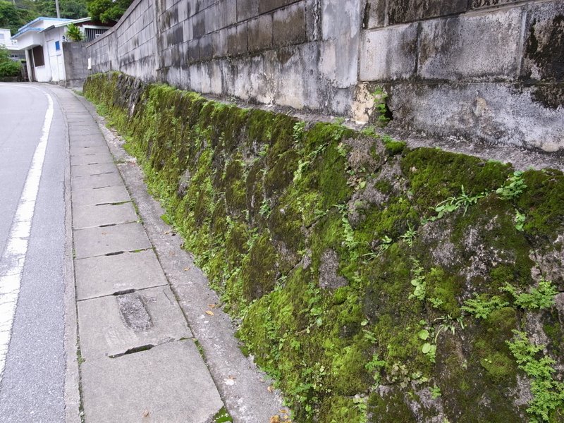 f:id:SQB:20100617195317j:image