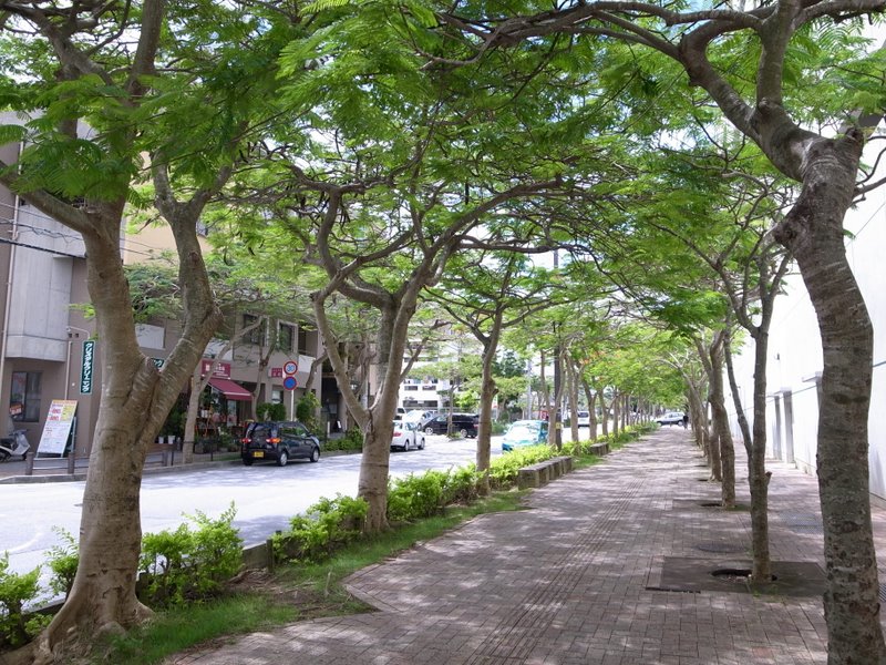f:id:SQB:20100619191930j:image