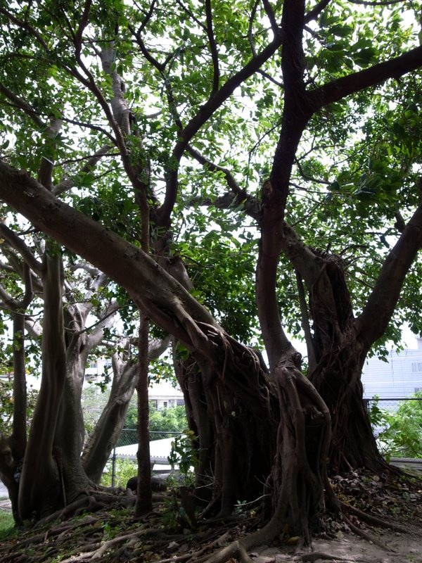 f:id:SQB:20100619210358j:image