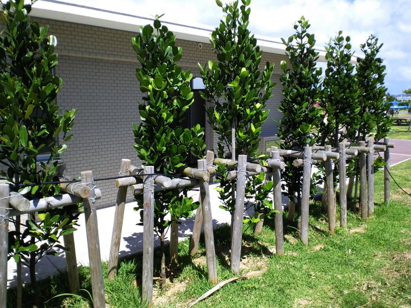 f:id:SQB:20100629193209j:image