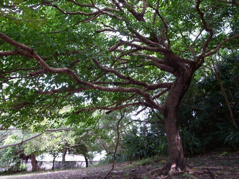 f:id:SQB:20100724193303j:image