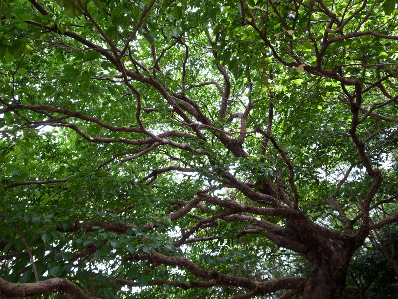 f:id:SQB:20100724193305j:image