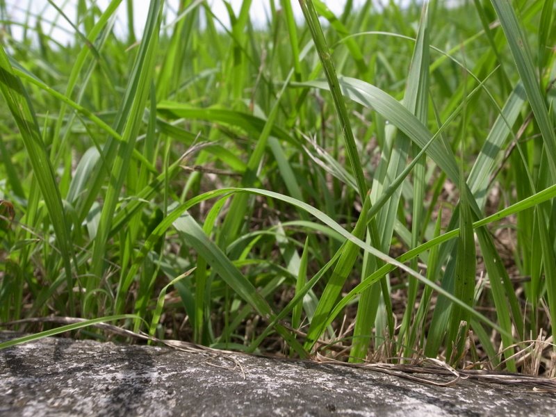f:id:SQB:20100724193317j:image