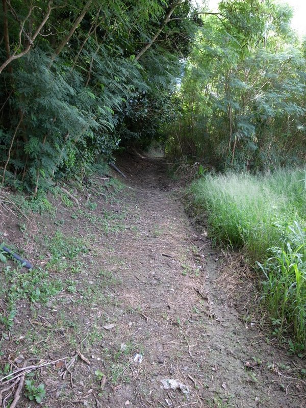 f:id:SQB:20100801111047j:image