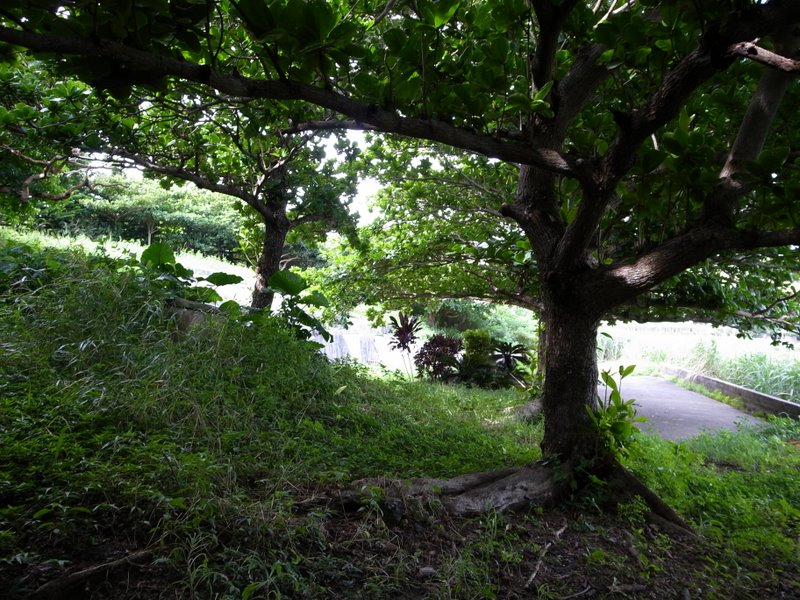 f:id:SQB:20100801111049j:image