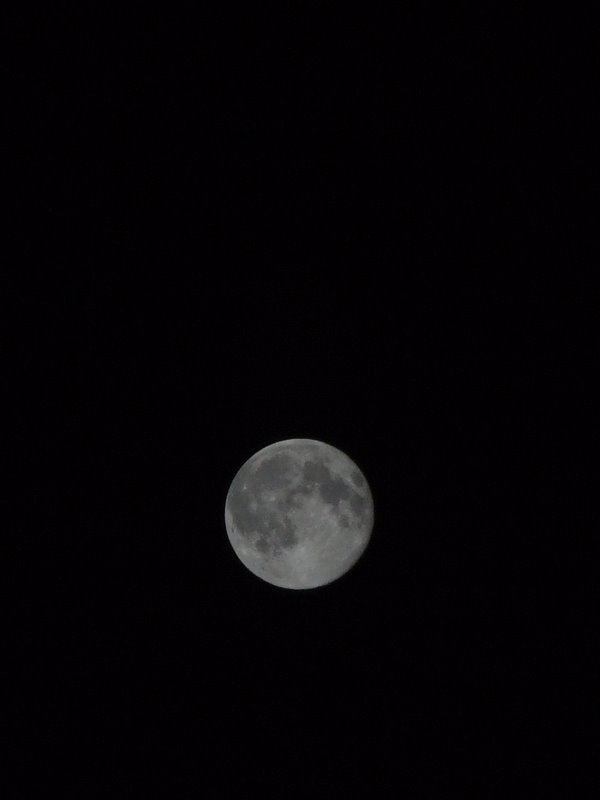f:id:SQB:20100826001653j:image