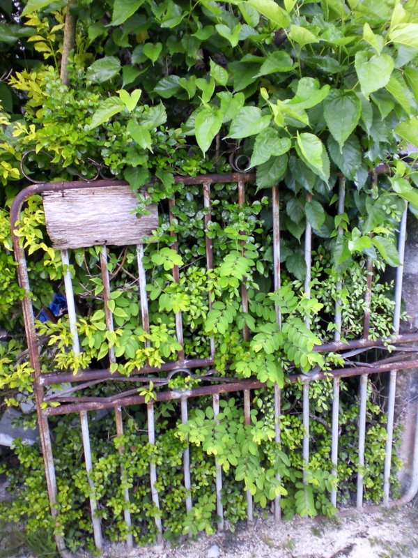 f:id:SQB:20100914203257j:image