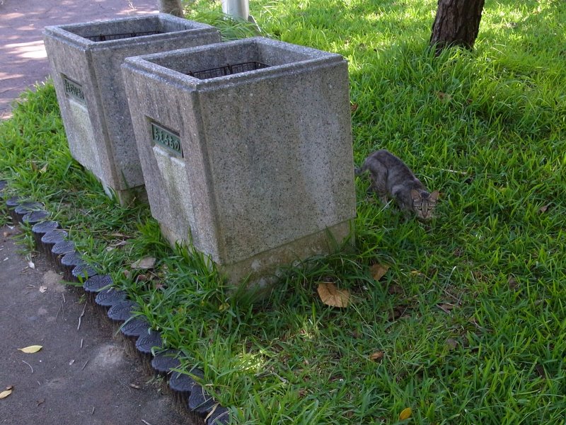 f:id:SQB:20100921200935j:image