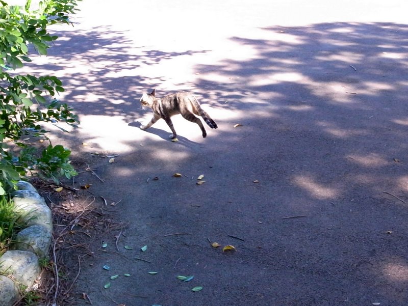 f:id:SQB:20100921200938j:image