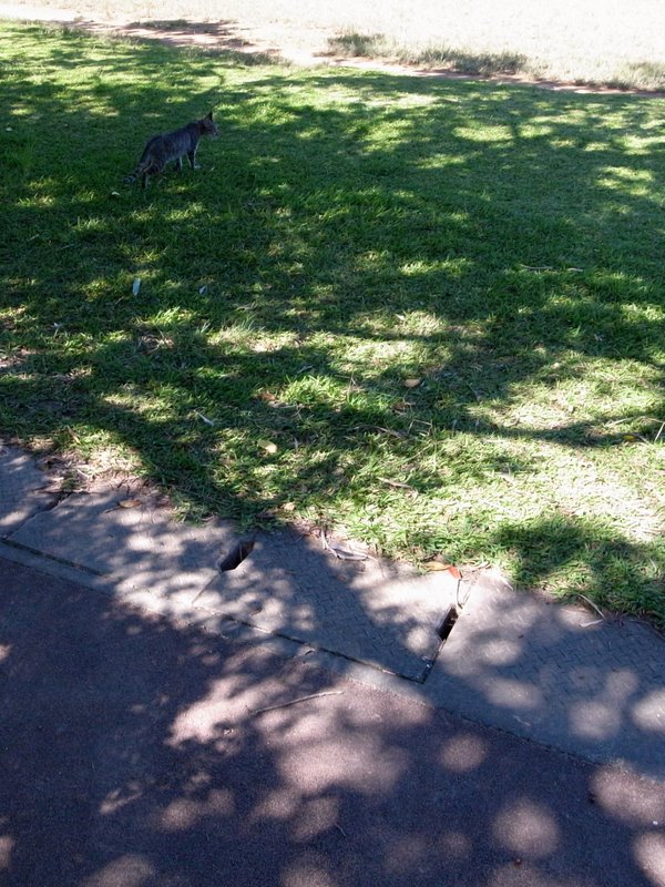 f:id:SQB:20100921200942j:image