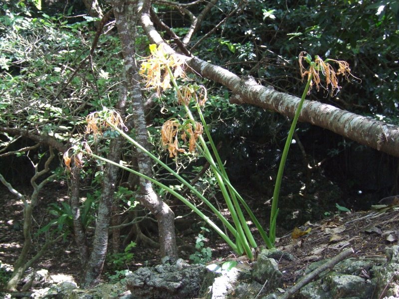 f:id:SQB:20100925194542j:image