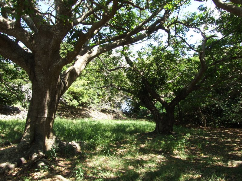 f:id:SQB:20100925195106j:image