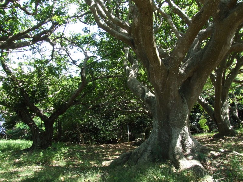 f:id:SQB:20100925195107j:image